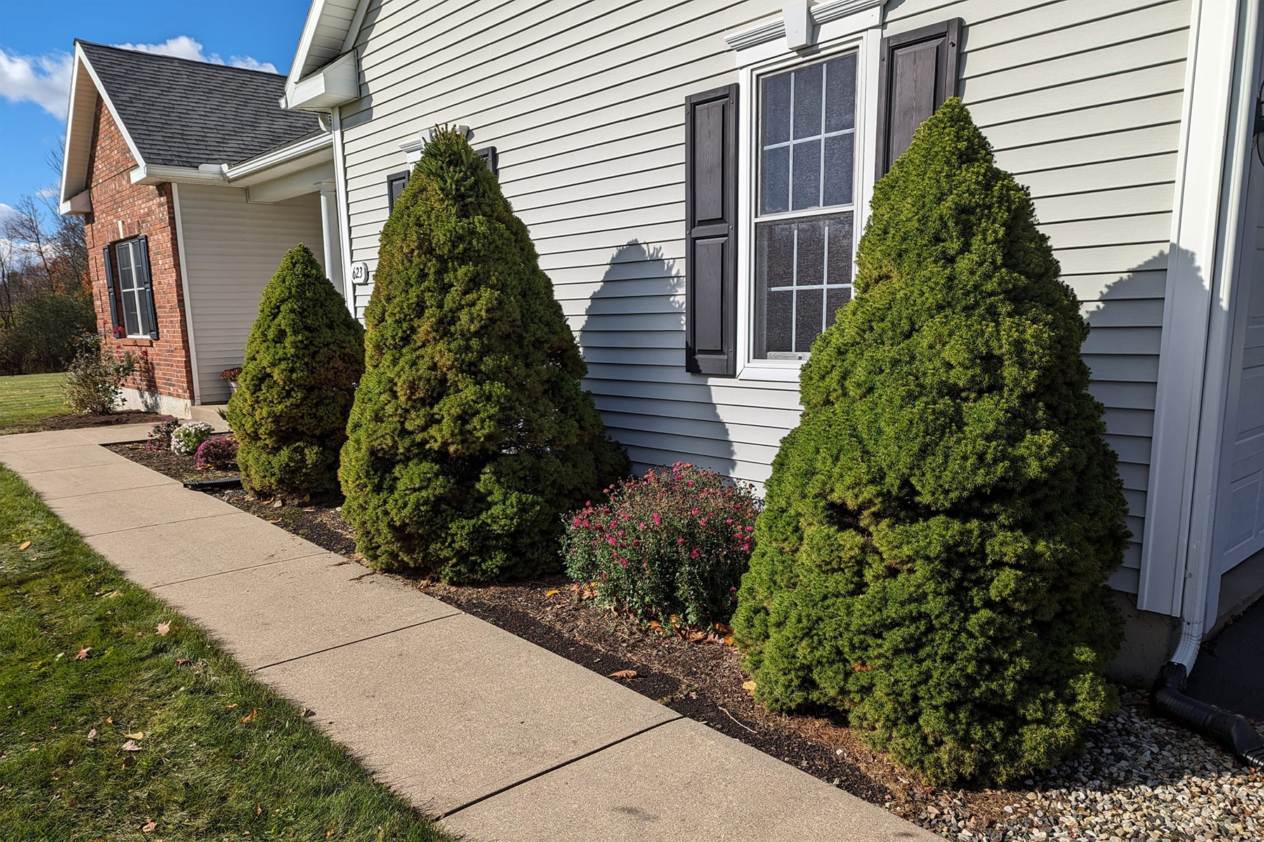 Thumbnail of Construction drawing, retaining wall and decorative stone
