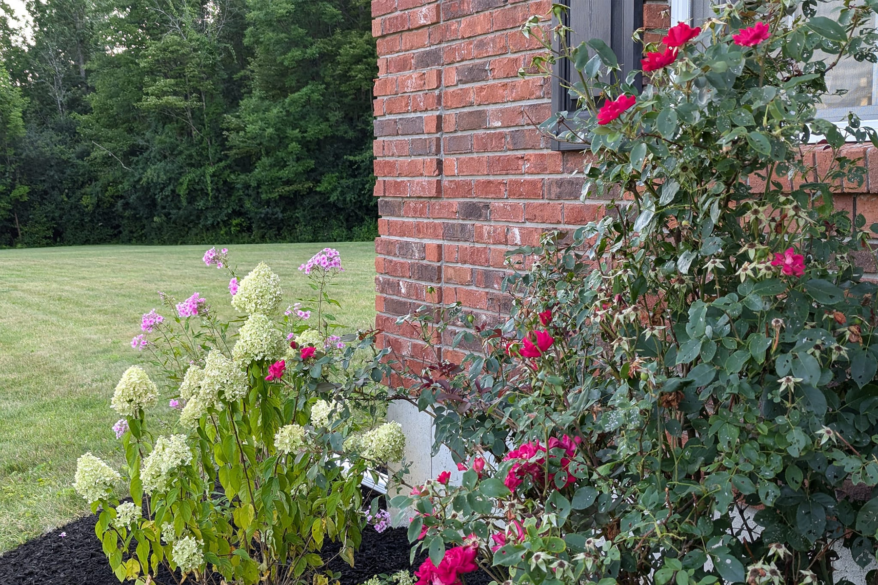 Thumbnail of Installation progress photo of retaining wall around pool