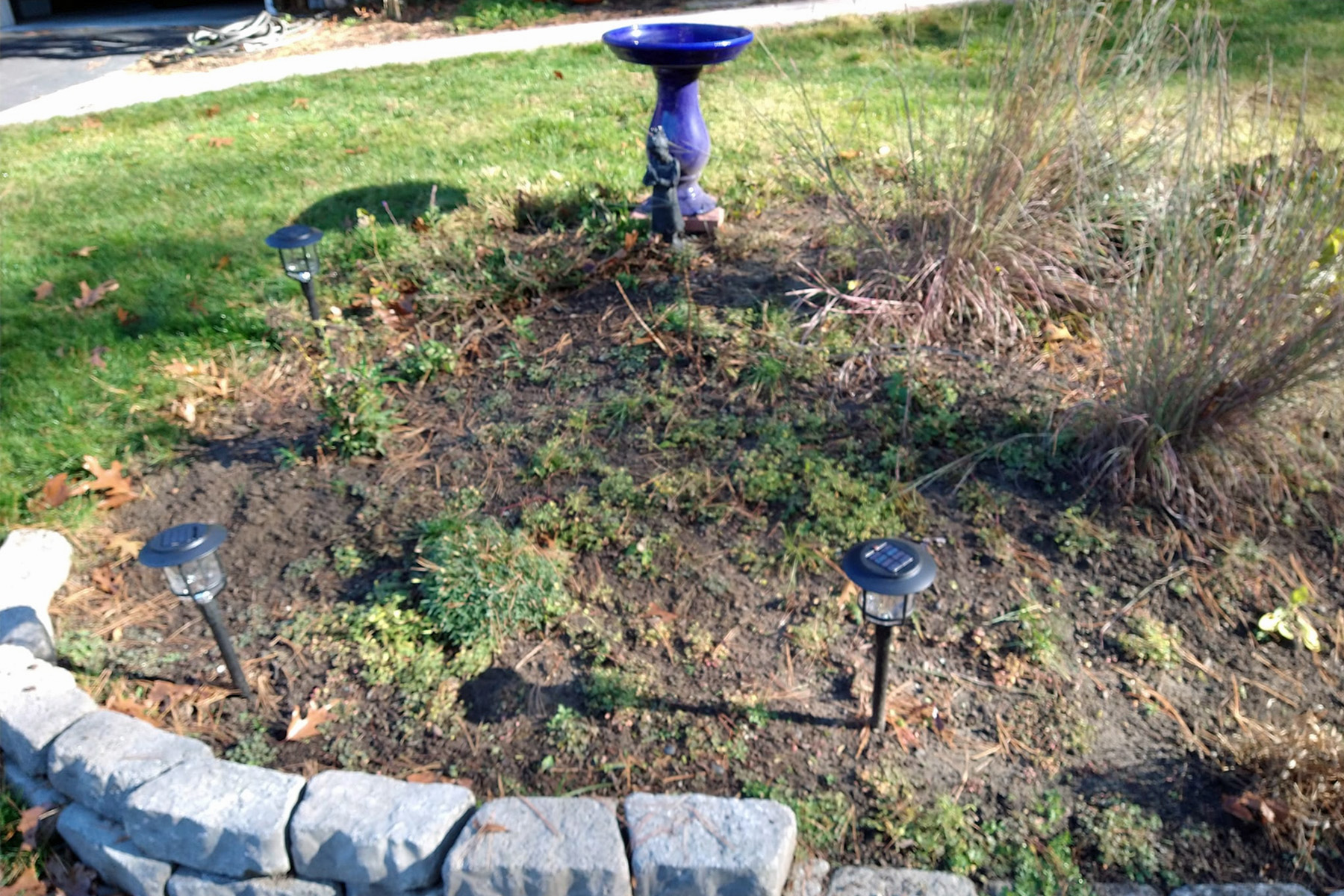 Thumbnail of after image of completed plant bed with mulch