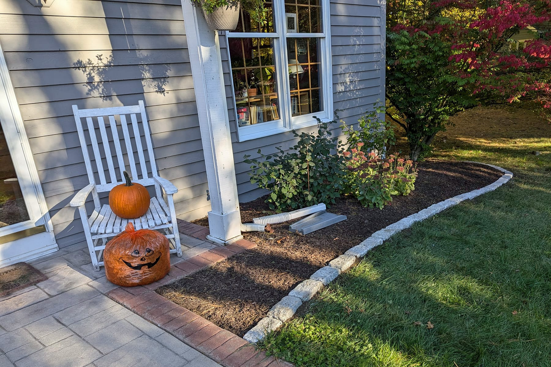 Thumbnail of lawn with sparse grass in the corner of lot