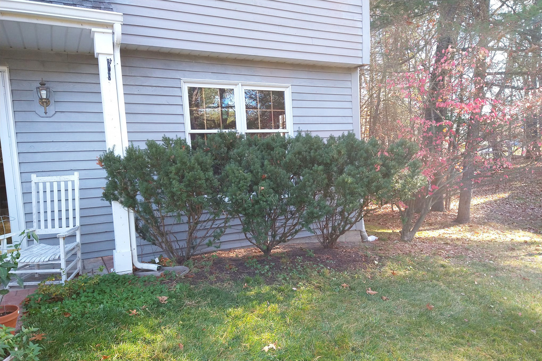 Thumbnail of completed plant bed with mulch
