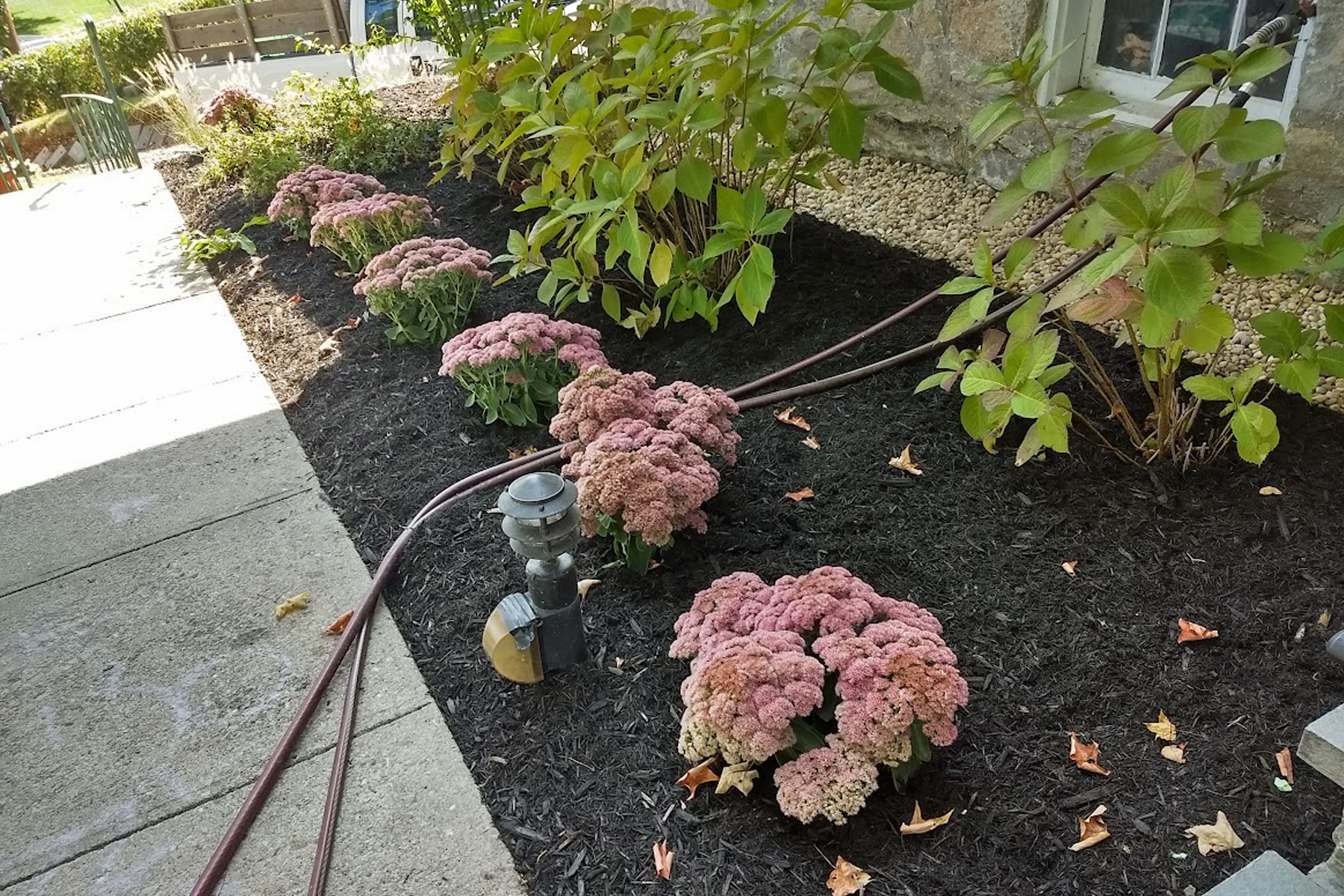Thumbnail of completed plant bed, on the corner, without mulch and stone