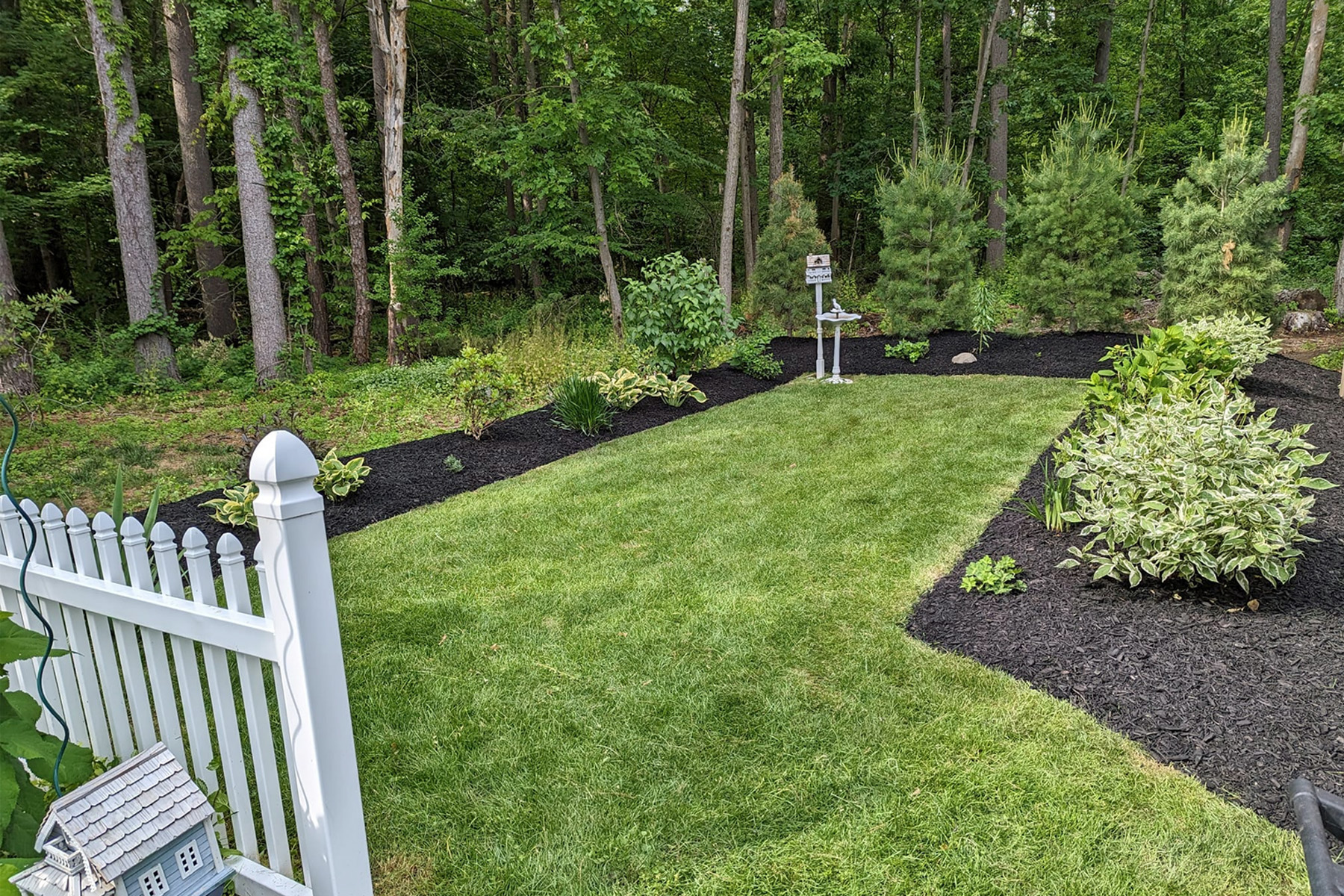 Thumbnail of dead grass and dirt patches