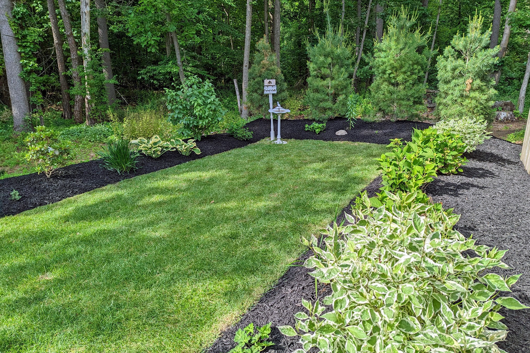 Thumbnail of of sod installation, mulch, and green grass