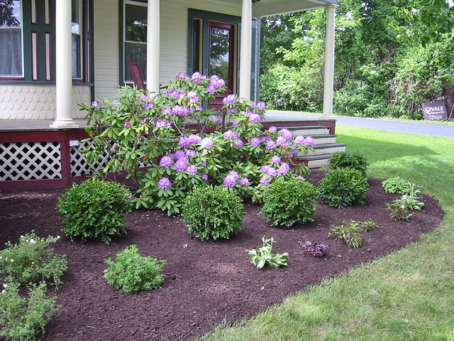 Thumbnail of the newly completed right half of the plantbed adjacent to the Civale Chiropractic office