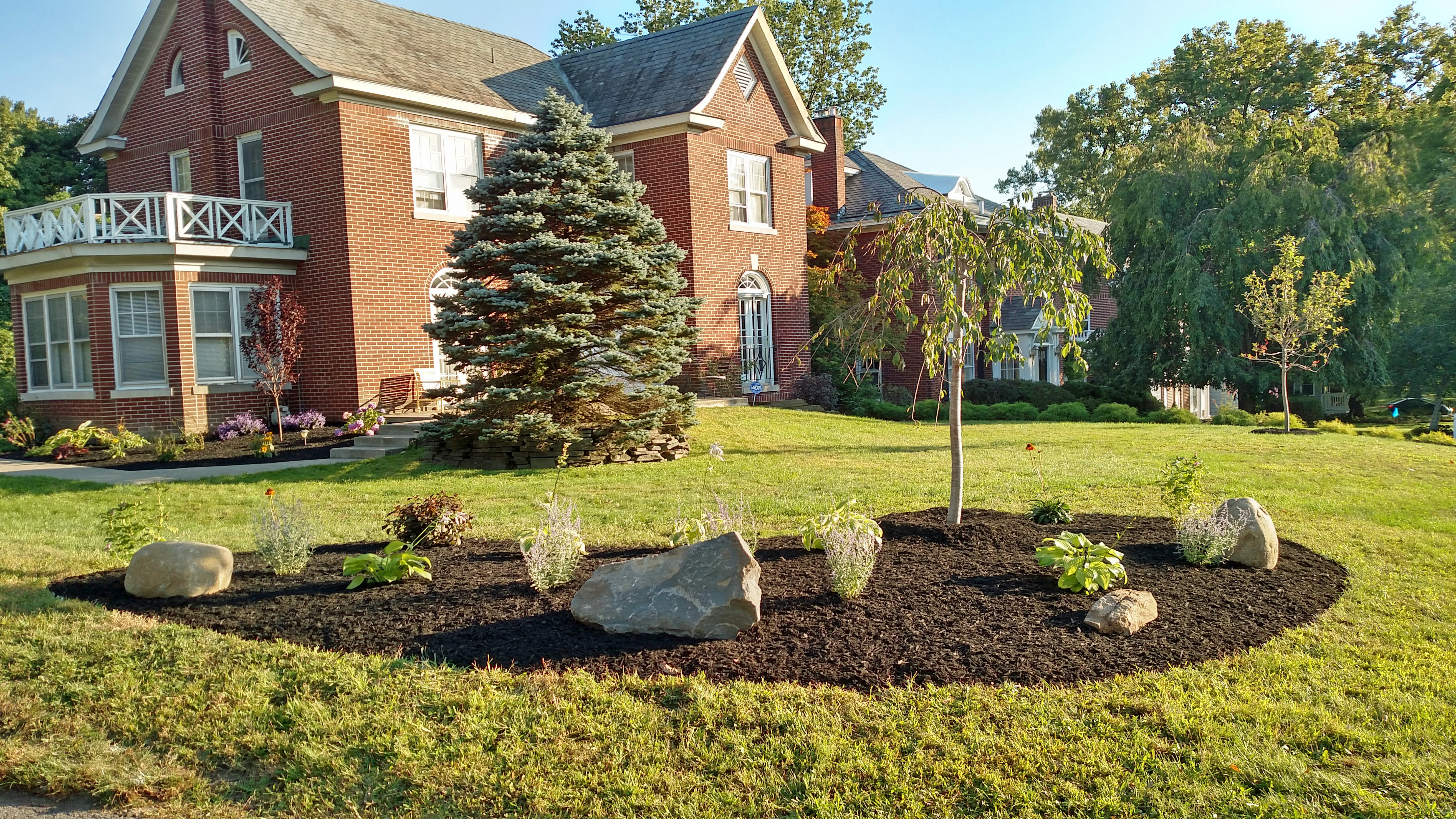 Thumbnail of after image of completed plant bed with mulch, stone, and newly planted trees
