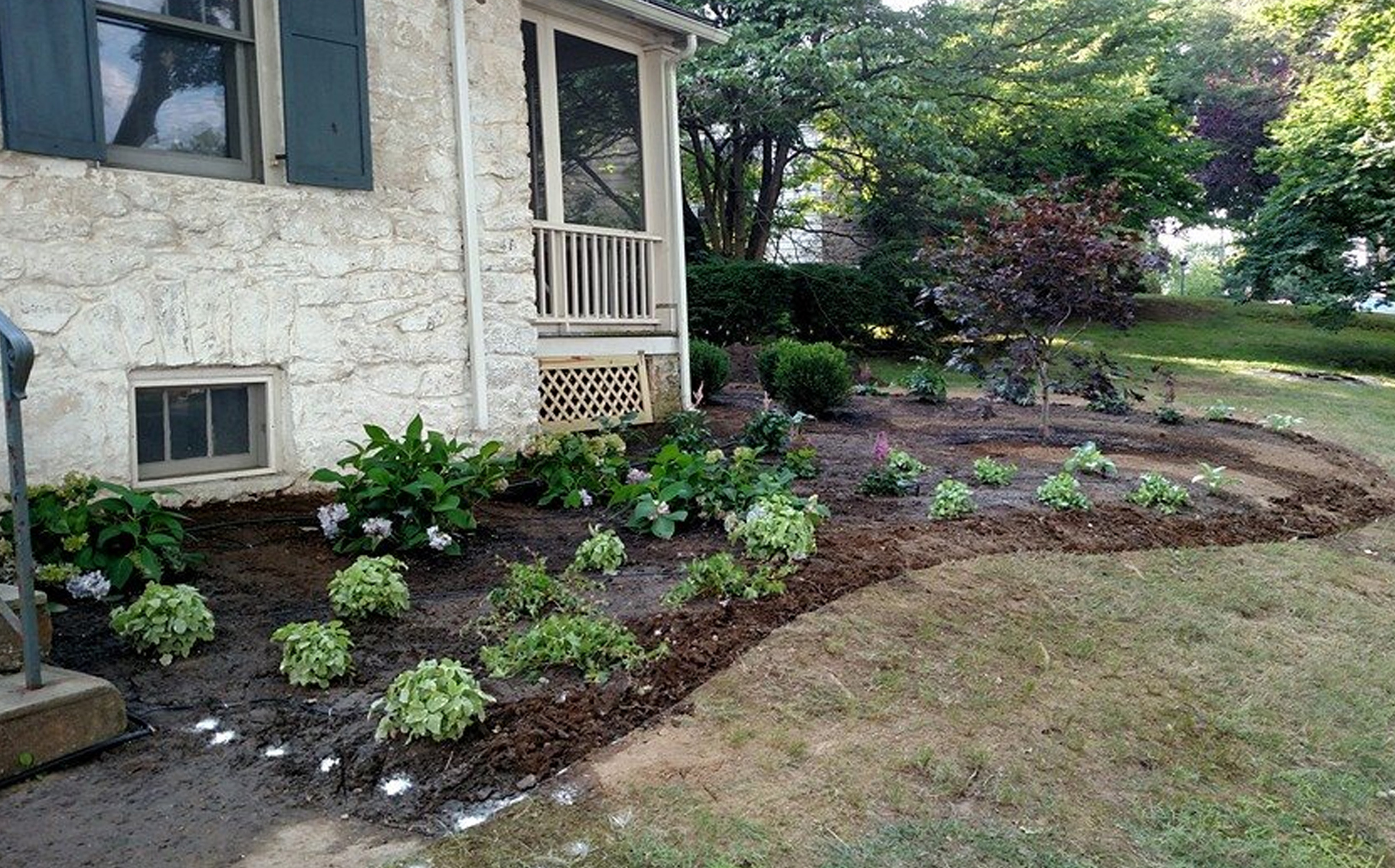Thumbnail of completed plant bed, on the corner, without mulch and stone