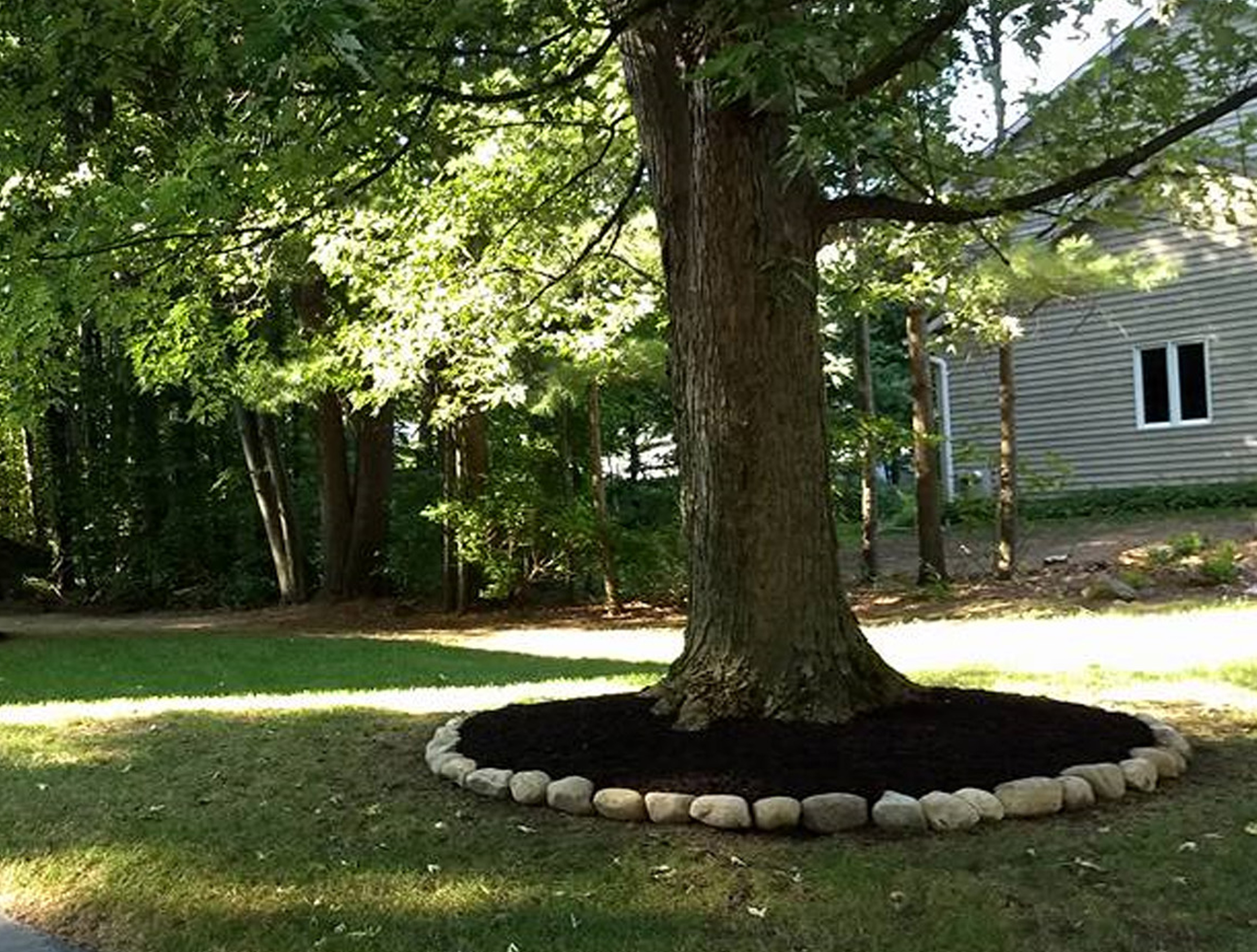 Thumbnail of the newly completed ring of stone around a large tree with fresh mulch