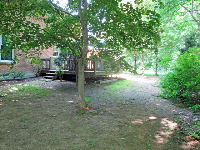 Thumbnail of bare backyard