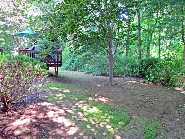 Thumbnail of installation progress of new ground cover