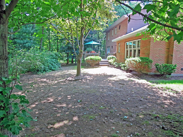 Thumbnail of bare backyard