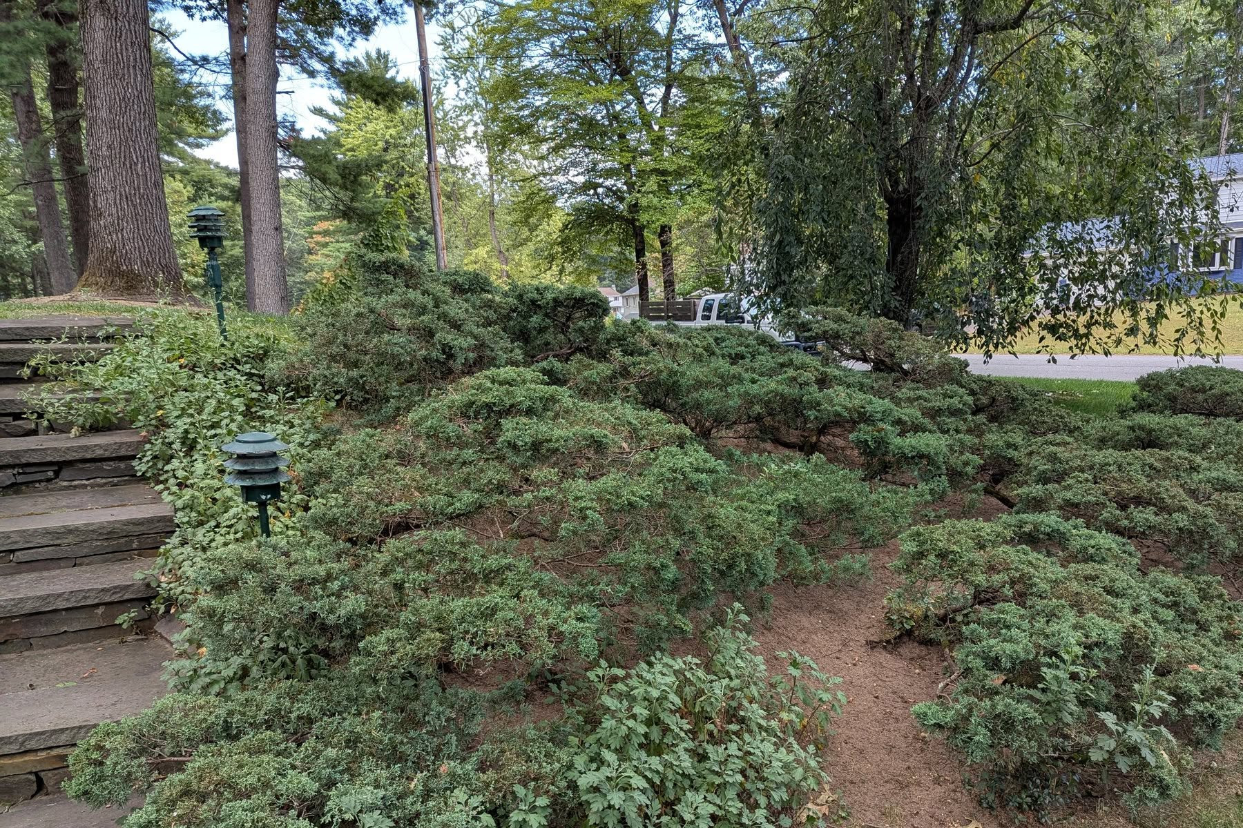 Thumbmnail image of a freshly mowed lawn with two weeded plantbeds and a house in the background