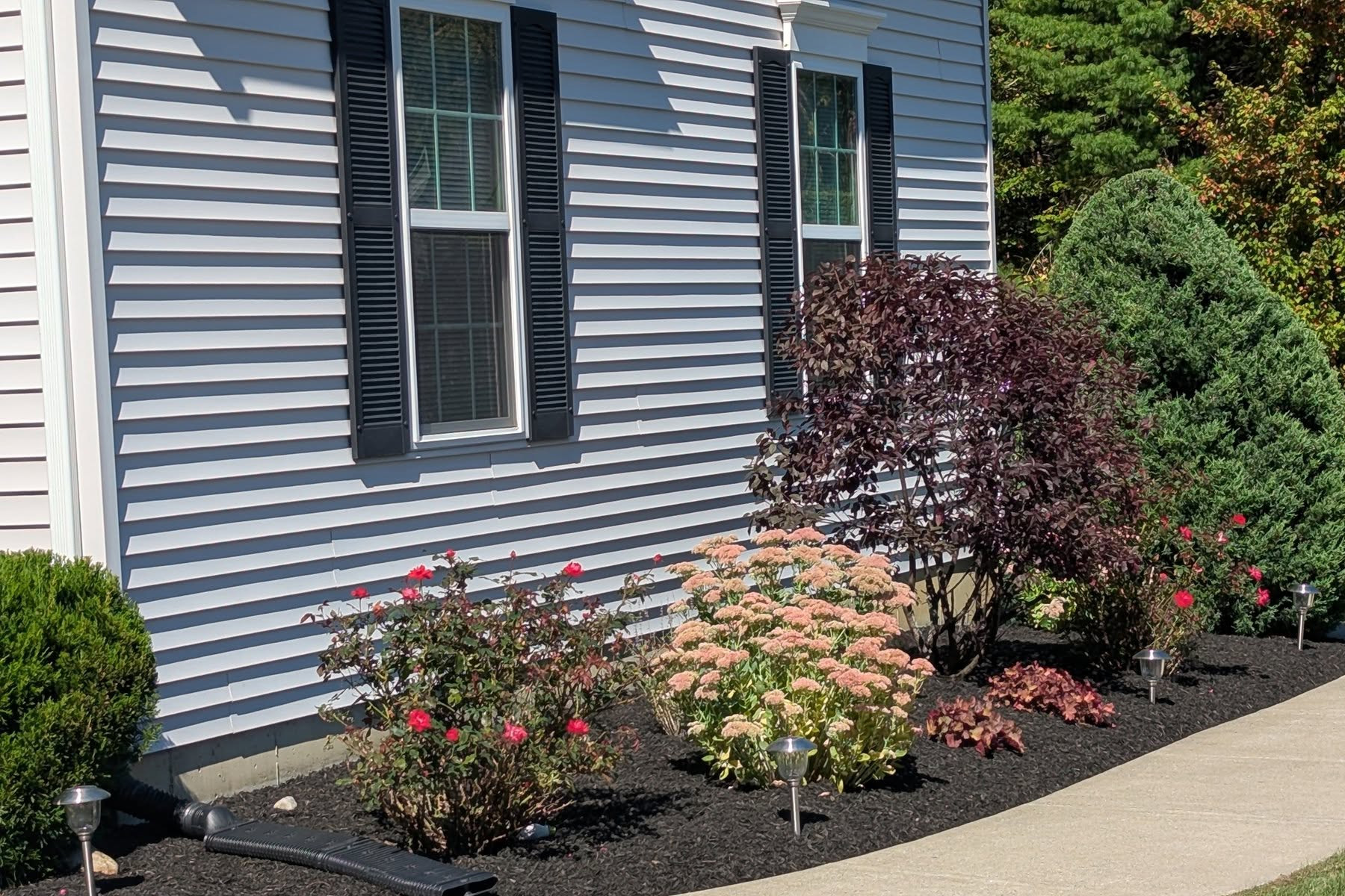 Thumbnail of completed trimming, bed cleanup, and fresh mulch