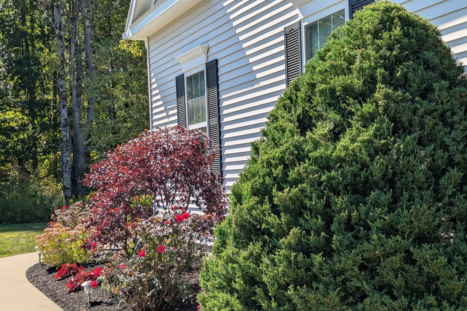 Thumbnail of completed trimming, bed cleanup, and fresh mulch