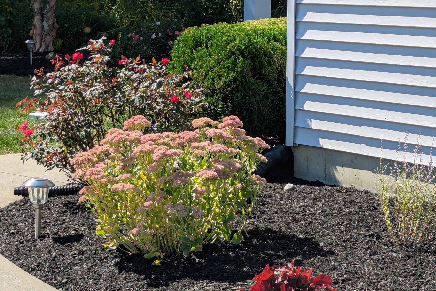 Thumbnail of completed trimming, bed cleanup, and fresh mulch