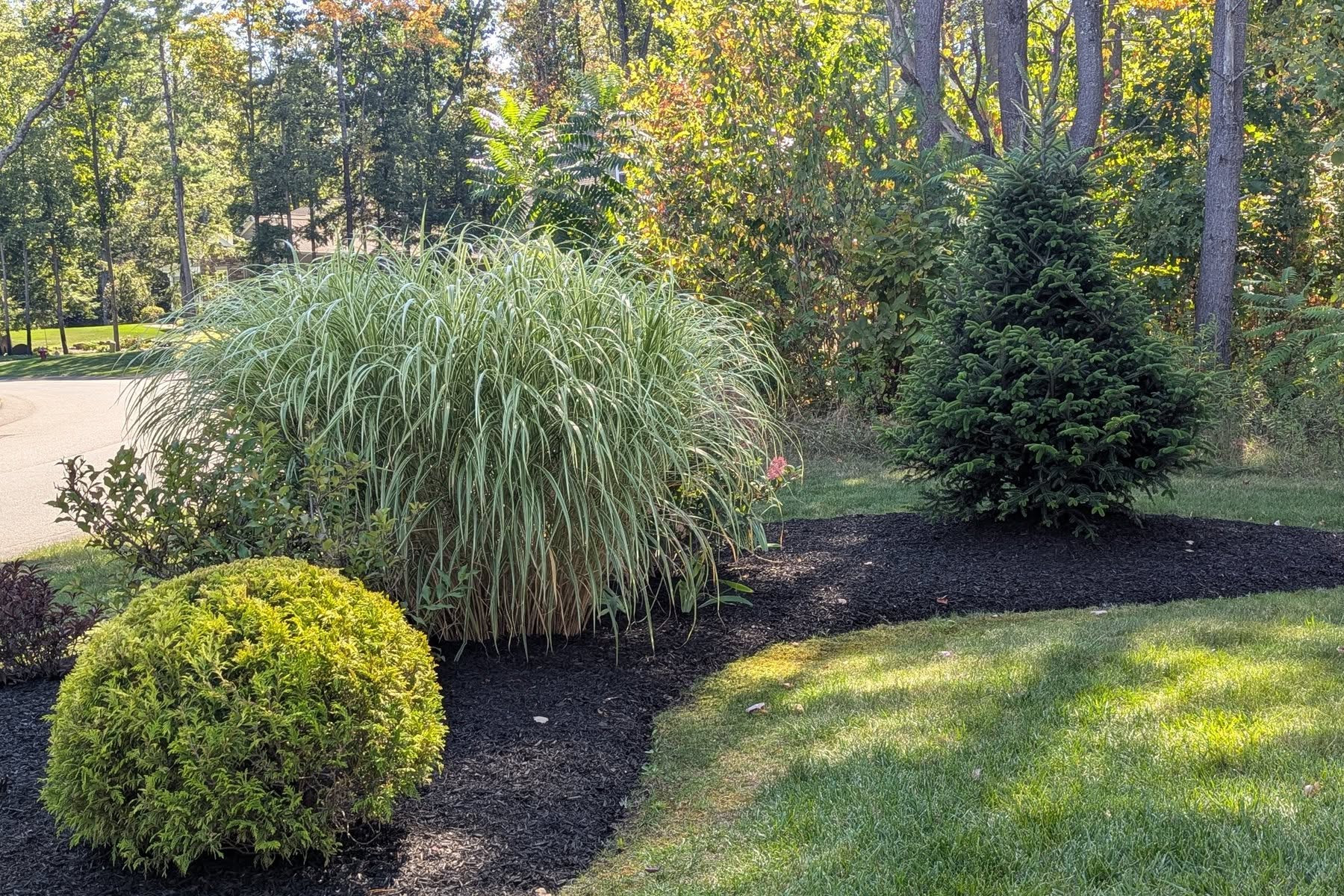 Thumbnail of completed trimming, bed cleanup, and fresh mulch