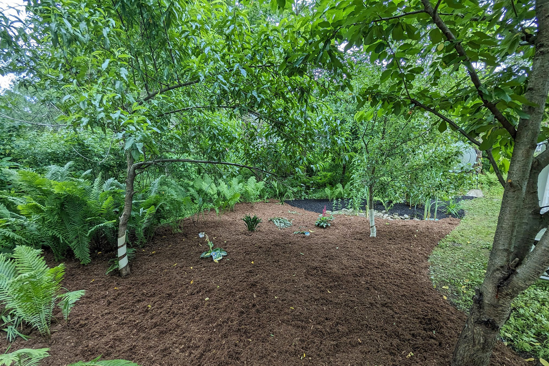 Thumbnail of an overgrown plant bed and stone seating area in the front of a house