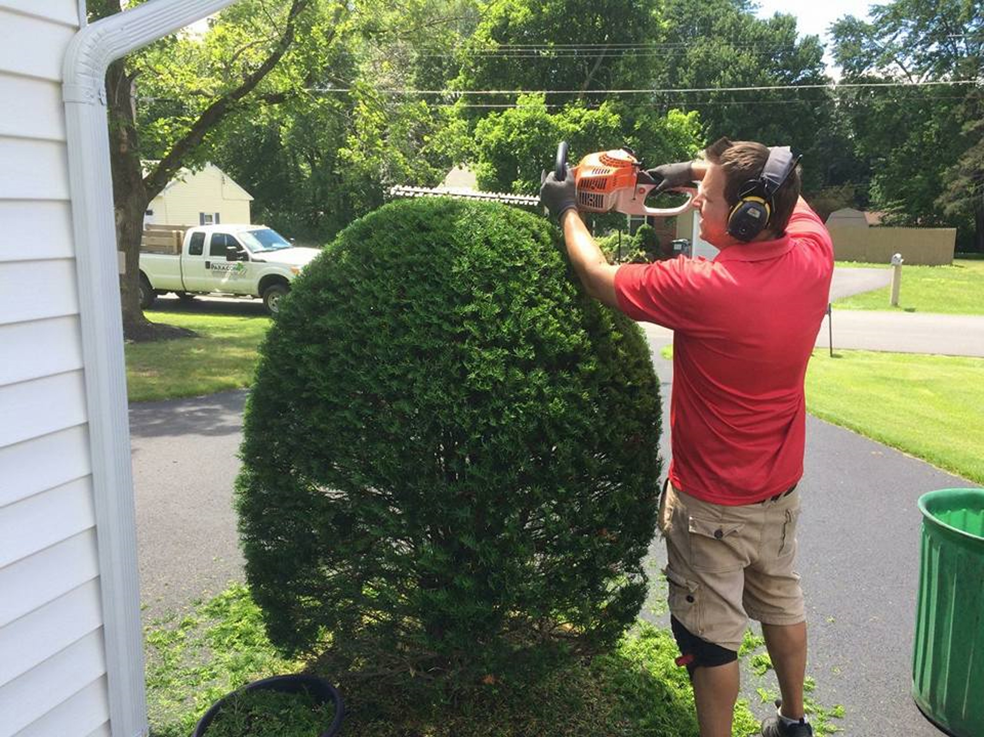 Thumbnail of Joe trimming a bush
