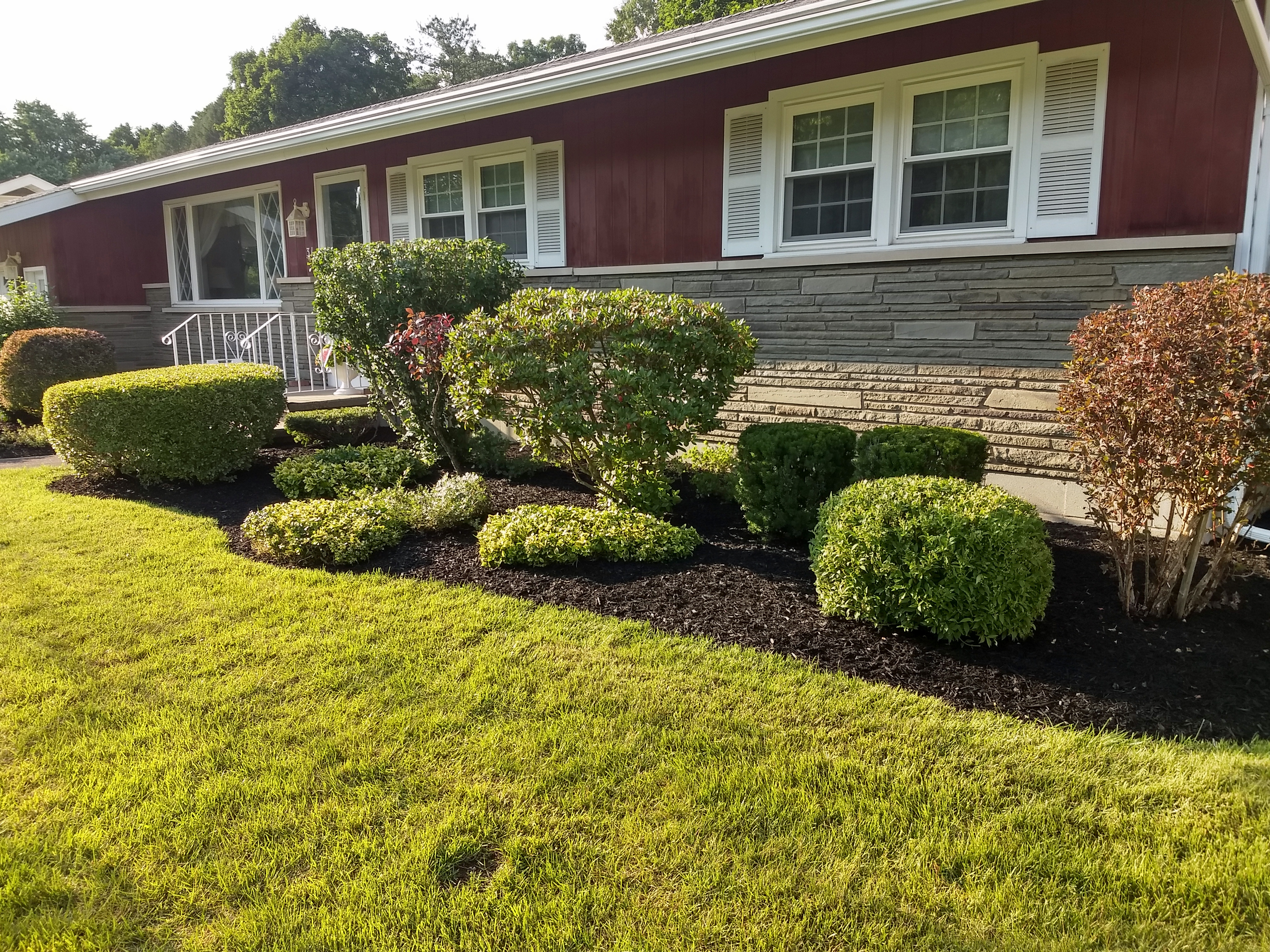 Thumbnail of completed trimming, bed cleanup, and fresh mulch
