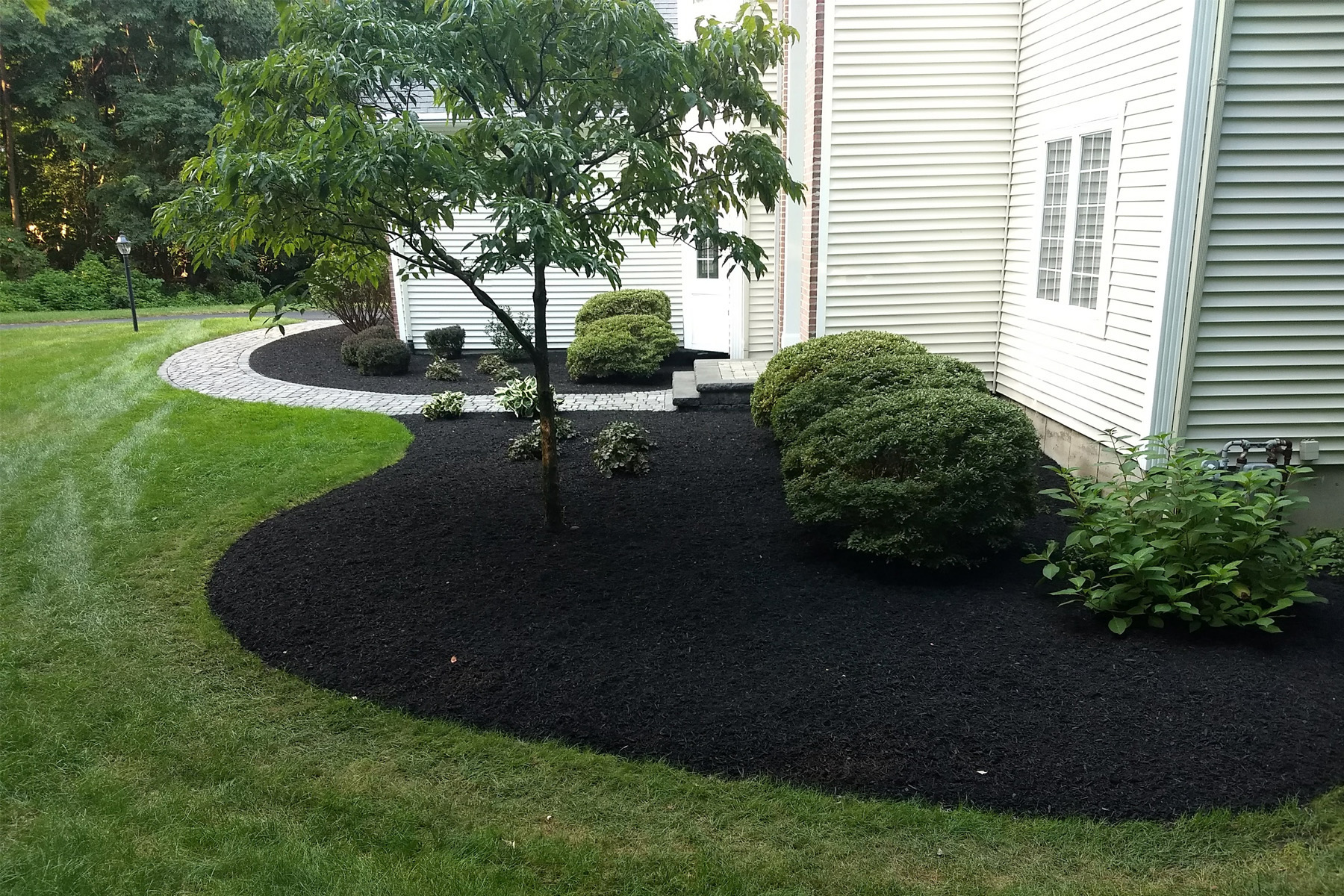 Thumbnail of completed trimming, bed cleanup, and fresh mulch