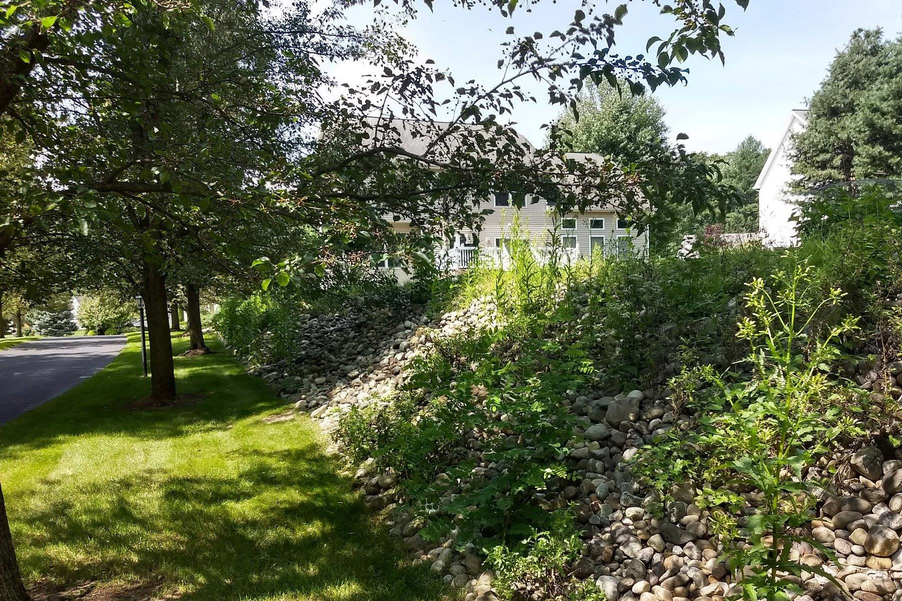 Thumbnail of an overgrown stone retaining wall and tree mulch beds