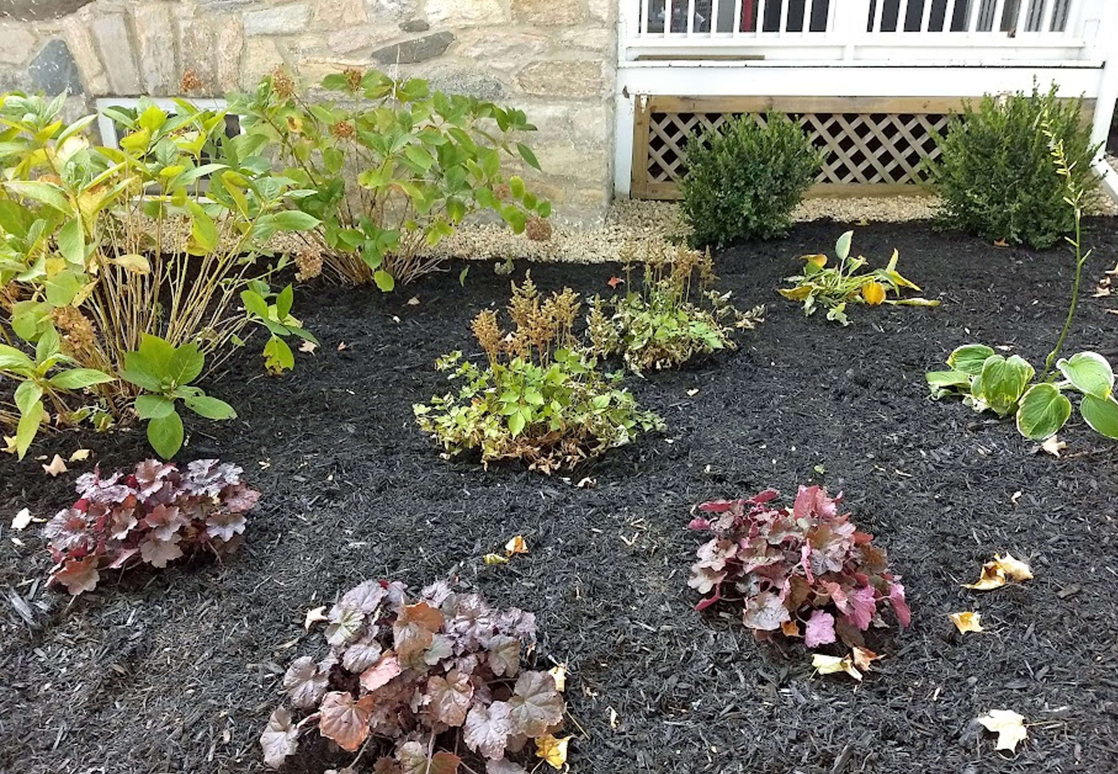 After photo of a large plant bed and mulch